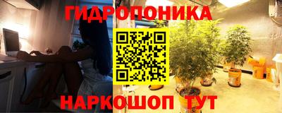 дживик Кунгур