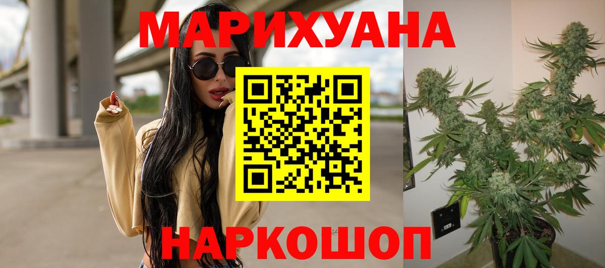 Бошки марихуана план  Вход с VPN  Ишимбай  Канабис сатива  Канабис планчик  Конопля гибрид 